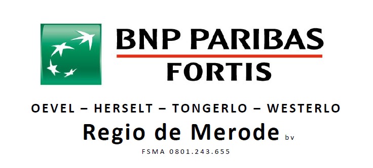 logo BNP paribas